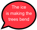 The ice is making the trees bend

