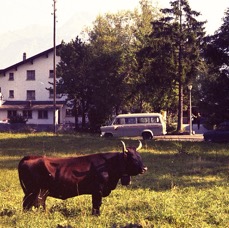 Switzerland - Ecole des Roches - 1970-72 (65).jpg